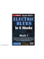 MUSIC SALES ELECTRIC BLUES GUITAR DVD dvd za učenje gitare