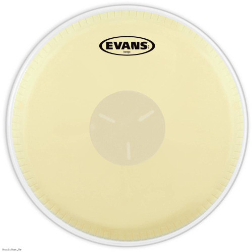 EVANS EB07 7 1/4˝ opna za bongose