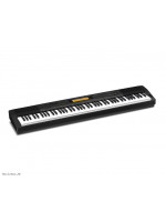 CASIO CDP230 stage piano