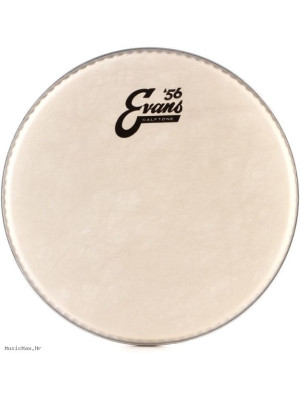 EVANS TT16C7 Calftone 16" opna za tom