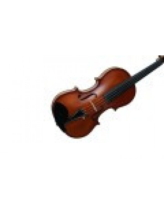 PIERRE MARIN DONIZETTI 4/4 violinski set