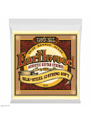 ERNIE BALL 2051 SILK & STEEL 9-46 žice za 12-žičanu akustičnu gitaru