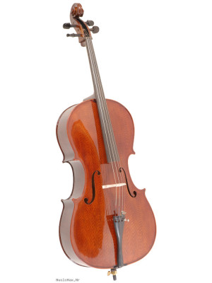 DOWINA PIERRE MARIN Amadeus B-stock 4/4 violončelo - set
