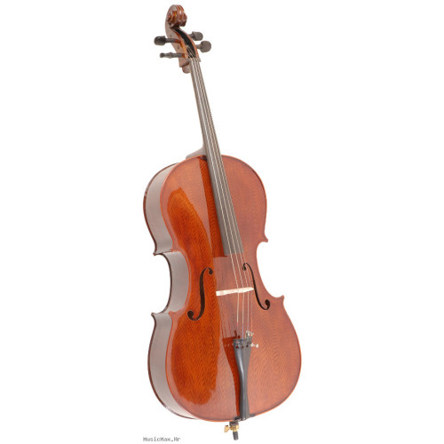 DOWINA PIERRE MARIN Amadeus B-stock 4/4 violončelo - set