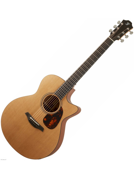 FURCH BLUE GC-SW SPE Master's Choice elektroakustična gitara