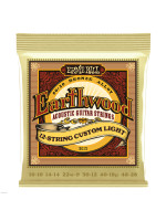 ERNIE BALL 2013 EARTHWOOD 8020 BRONZE 10-48 žice za 12-žičanu akustičnu gitaru