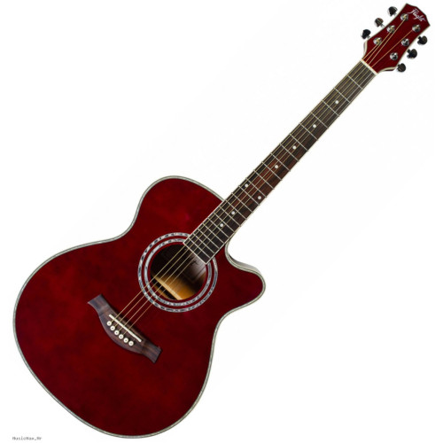 FLIGHT F-230C WR akustična gitara