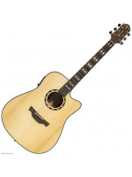 CRAFTER ABLE G-620CE/N elektroakustična gitara s torbom