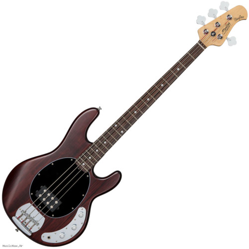 STERLING STINGRAY 4 Walnut Satin bas gitara