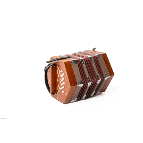 GOLDENCUP JBC20 20 KEY WOOD VENEER CONCERTINA harmonika