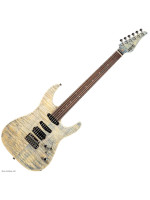 JET JS-45 ELITE HSS Indigo Grey električna gitara s torbom