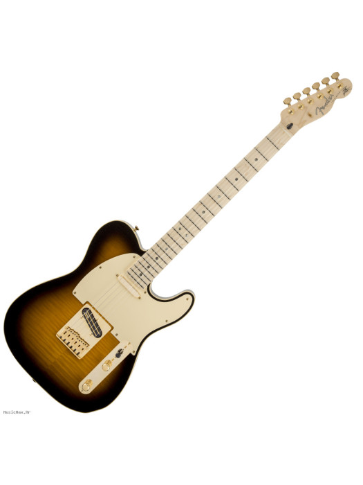 FENDER Richie Kotzen Telecaster MN BSB električna gitara