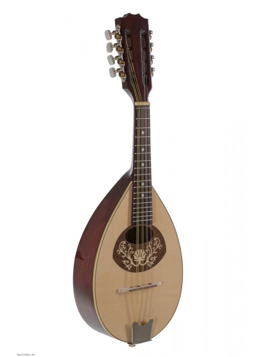 GEWA FLAT PRO ARTE MODEL 1 mandolina