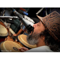 MEINL SH17 Spin Spark shaker