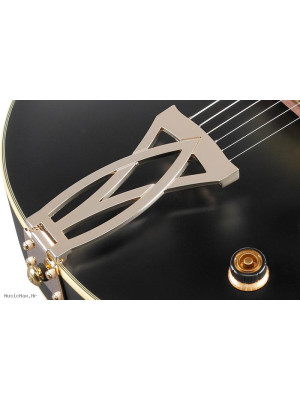 IBANEZ AF75G-BKF električna gitara