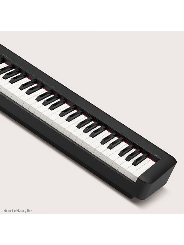 CASIO CDP-S110BK stage piano