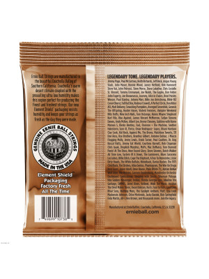 ERNIE BALL 2152 EARTHWOOD 10-48 žice za 12-žičanu akustičnu gitaru
