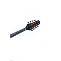 FLIGHT SMF-04 mandolina