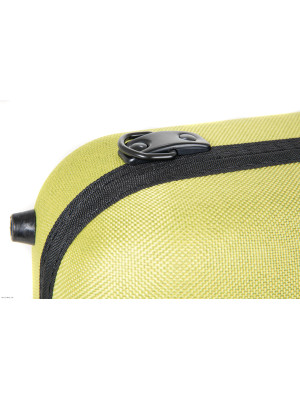 GEWA BIO 4/4 Lime kofer za violinu
