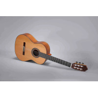 ALTAMIRA N500+ klasična gitara s torbom
