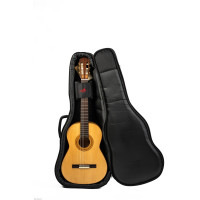 ALTAMIRA TORRES klasična gitara s torbom