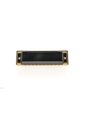 HOHNER HARMONICAS PRO HARP D dijatonska usna harmonika