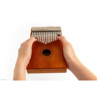 TERRIS PERCUSSION MRB11 17 Tones kalimba