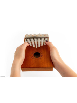 TERRIS PERCUSSION MRB11 17 Tones kalimba