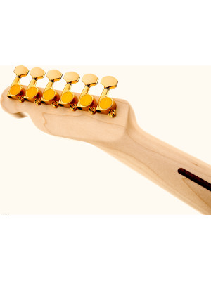 FENDER Richie Kotzen Telecaster MN BSB električna gitara