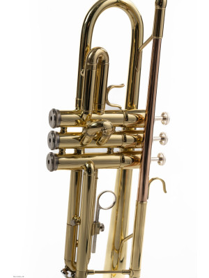 FLIGHT FTR-200G Bb truba